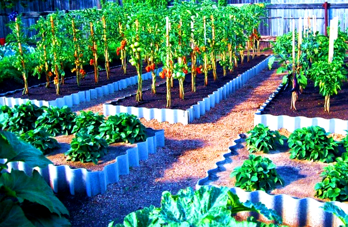 Осъществяване на зеленчукова градина на малки фрагменти с насаждения